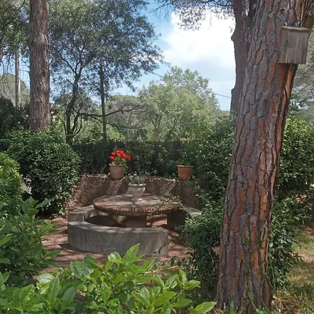 L'esbadaia Вилла Сен-Рафаэль