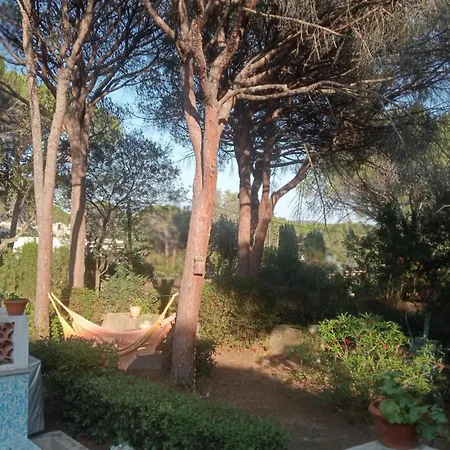 L'esbadaia Saint-Raphaël