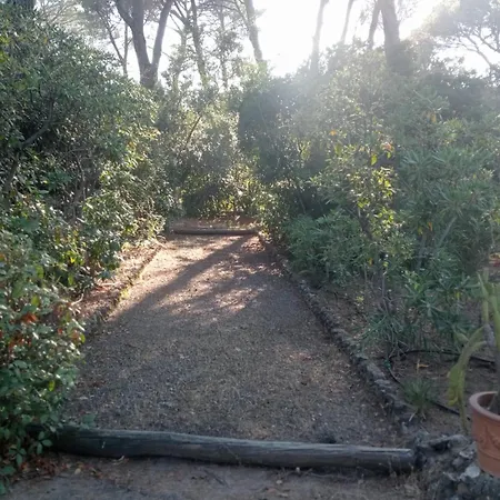 L'esbadaia Сен-Рафаэль